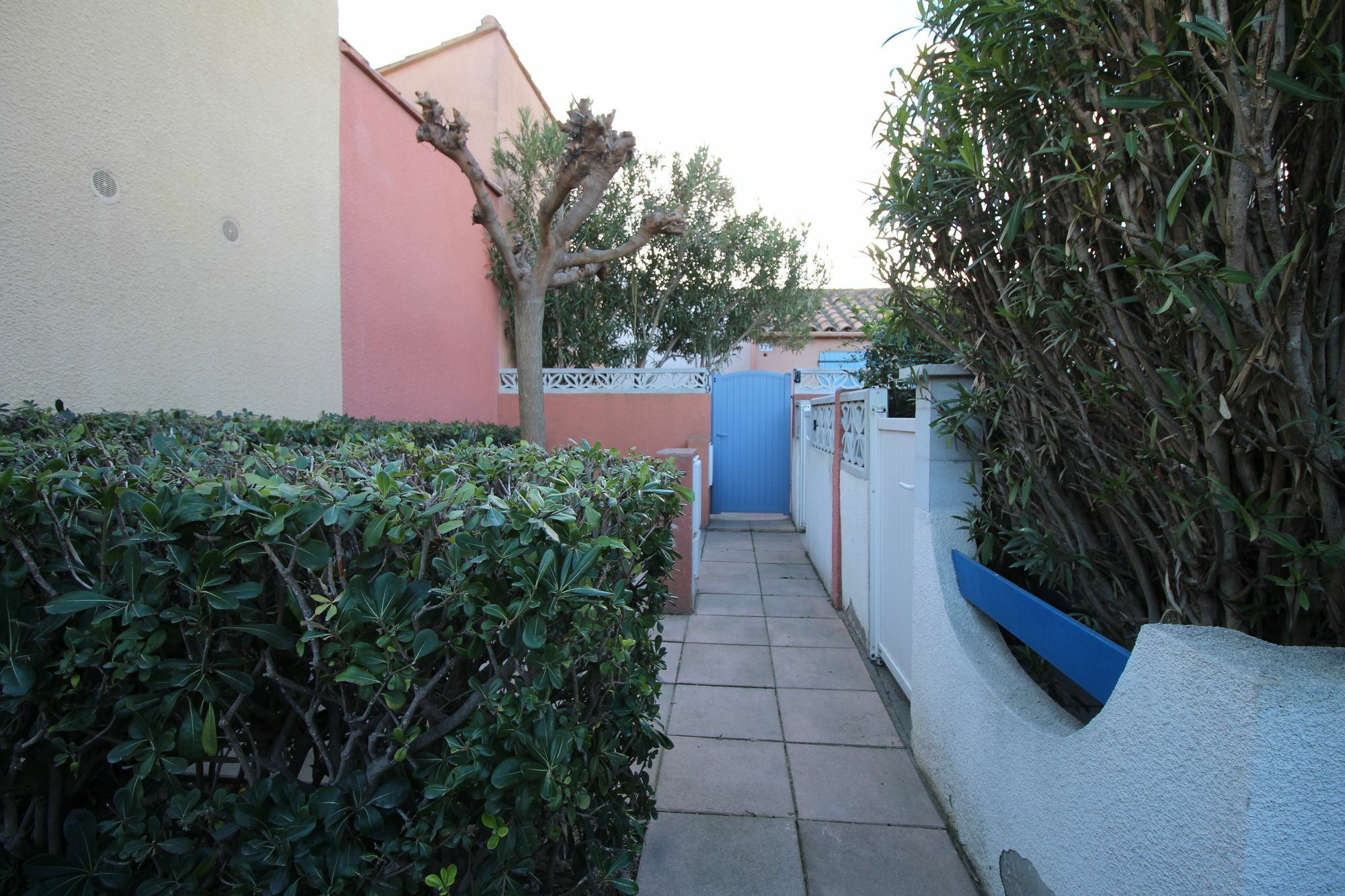 Appartement Charmant A Canet En Roussillon 36 M² Piscine Partagee Canet-en-Roussillon Exterior foto